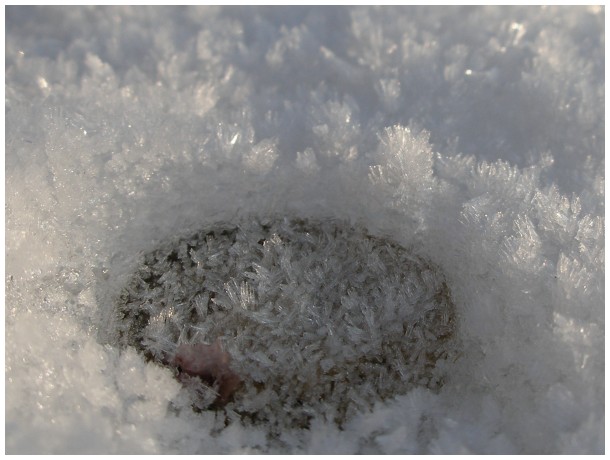 An icecold capsule in the snow